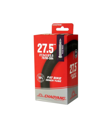 CAMARA 27,5 X 3,0/3,5 VALVULA FINA