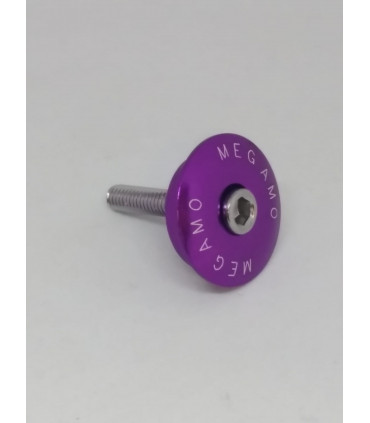 TAPÓN DIRECCIÓN AHEAD 1 1/8 MORADA (HORQUILLA INTERIOR 25,4 EXTERIOR 28,6)