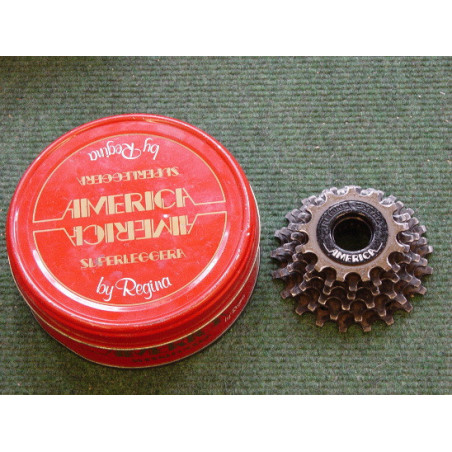 PIÑON REGINA 6 VELOCIDADES 13/21