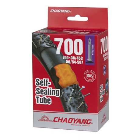 CAMARA 700 X25/32C ANTIPINCHAZOS VALVULA FINA 60 MM CHAOYANG