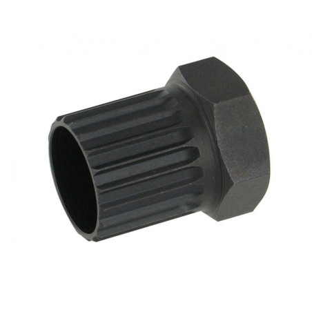 SACAPIÑONES REGINA, ZEUS