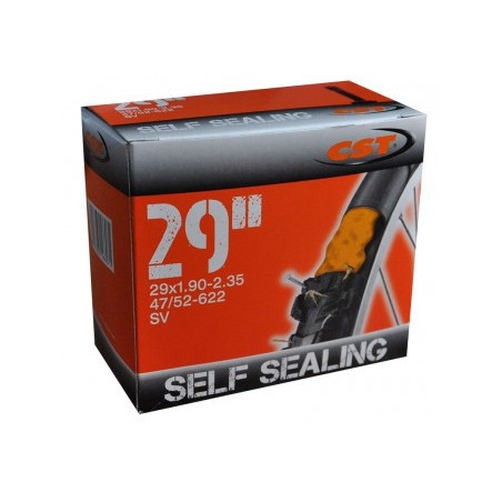 CÁMARA 29 x 1,9/2,35 VALVULA FINA ANTIPINCHAZOS CST